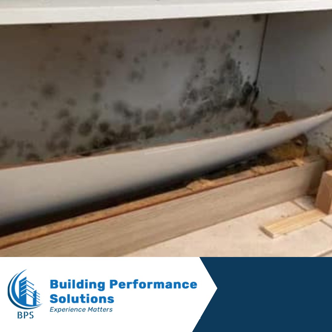 PREVENT MOLD GROWTH IN PIPES AND DRAINS 